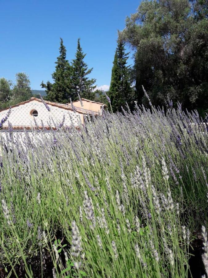 Apartment Cezanne With Heated Pool And Private Garden Chateauneuf-Grasse 外观 照片