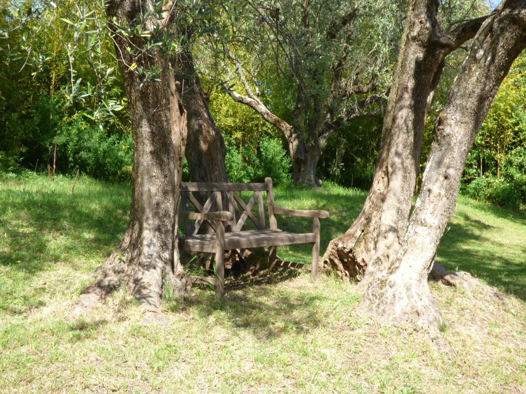Apartment Cezanne With Heated Pool And Private Garden Chateauneuf-Grasse 外观 照片