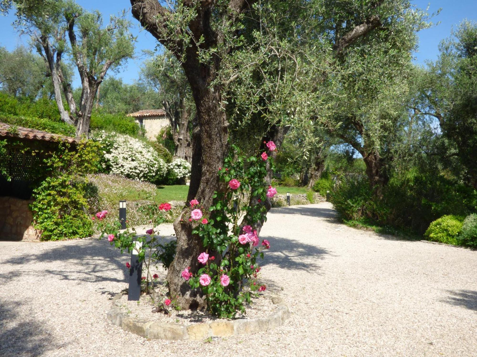 Apartment Cezanne With Heated Pool And Private Garden Chateauneuf-Grasse 外观 照片