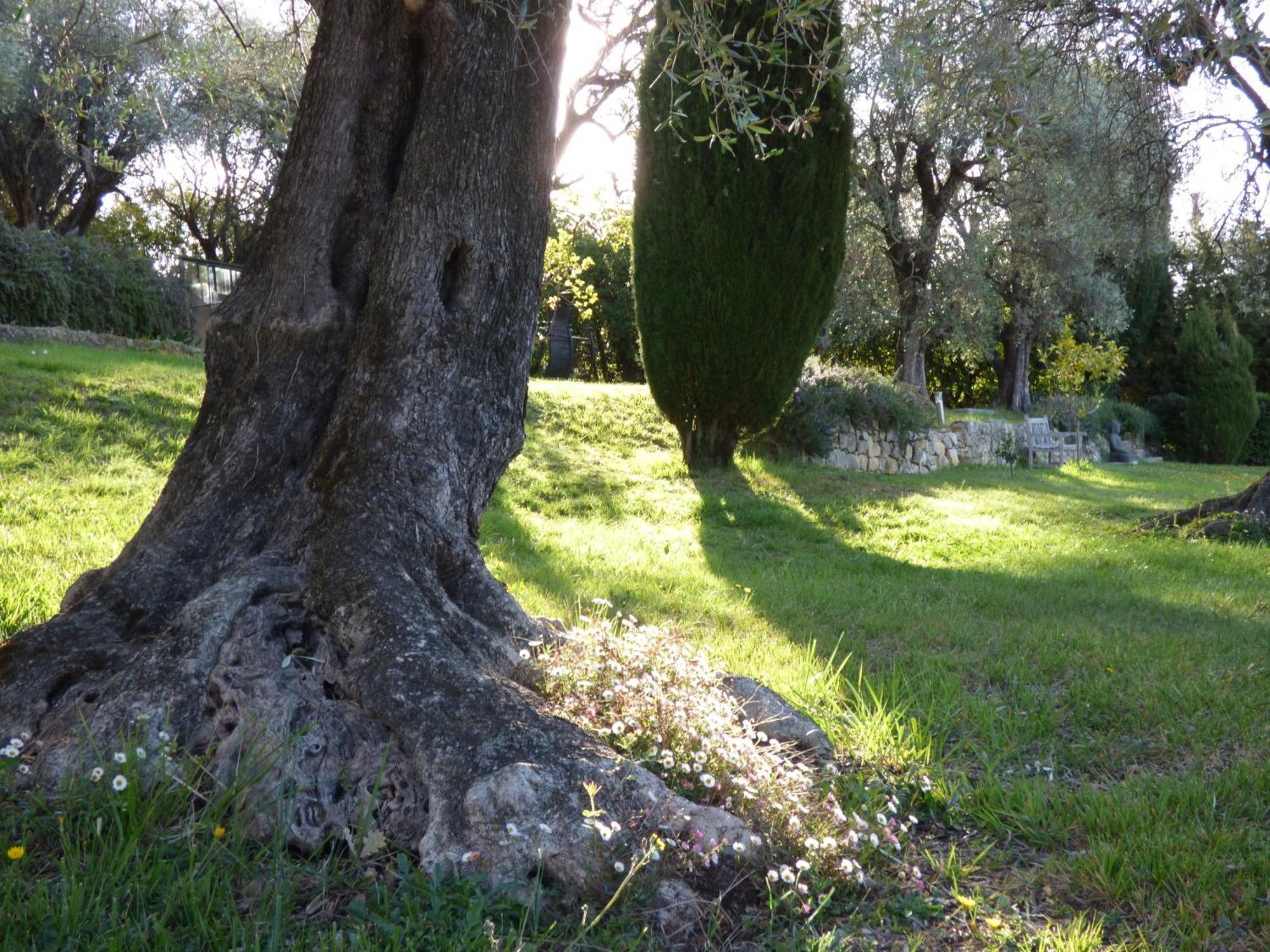 Apartment Cezanne With Heated Pool And Private Garden Chateauneuf-Grasse 外观 照片